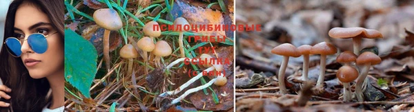 хмурый Надым