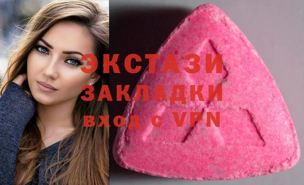 ECSTASY Богданович