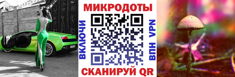 Псилоцибиновые грибы мицелий  Нижний Ломов 